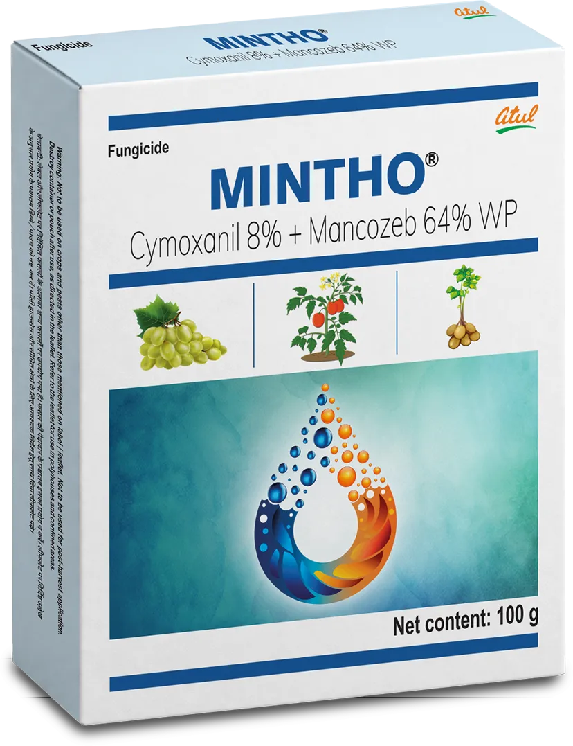 Mintho